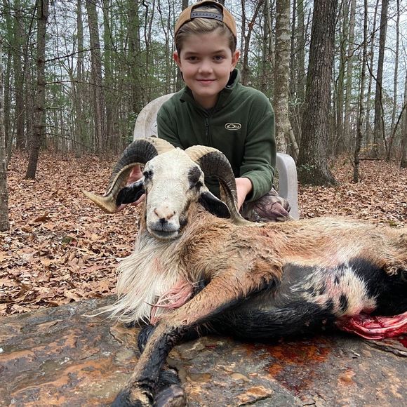 Meet your Posher, Landon - Picture 1 of 1